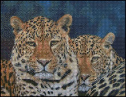 2 Leopards